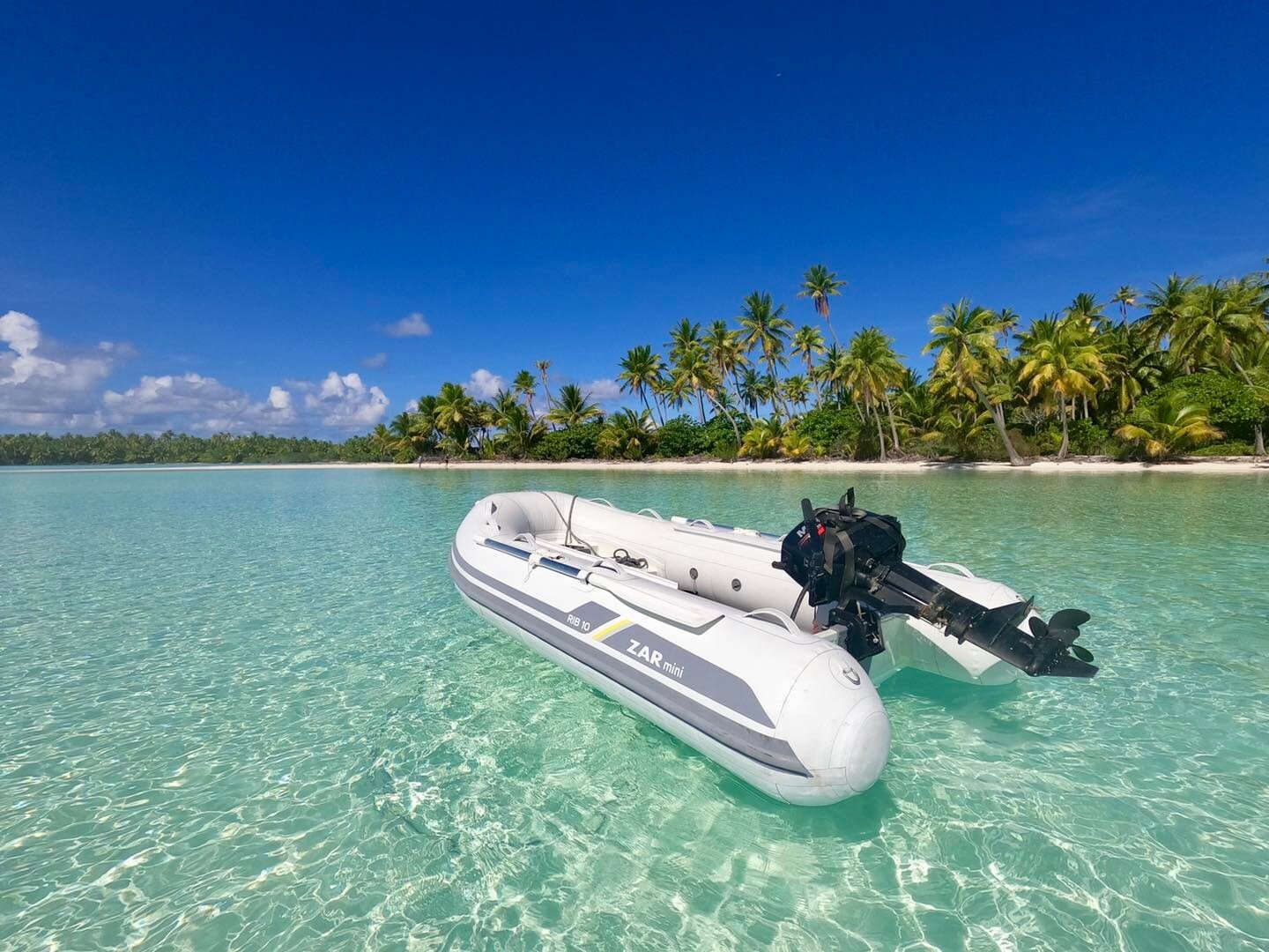 rib 10 3